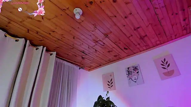 Imlauraa webcam