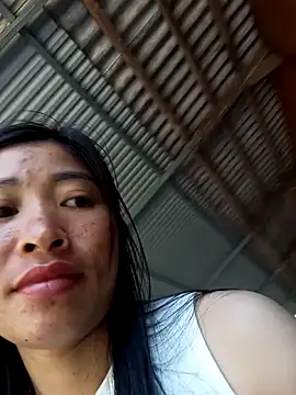 Hiniyk2 webcam