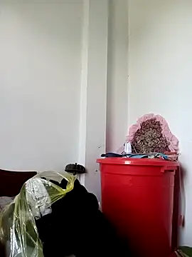 hoa-tuylip (F teen) - Ước mơ được mua xe