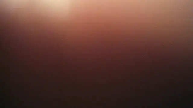 maria_sm25 webcam