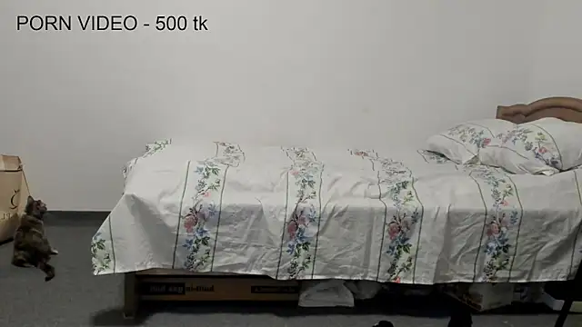 Charlotte_wow webcam