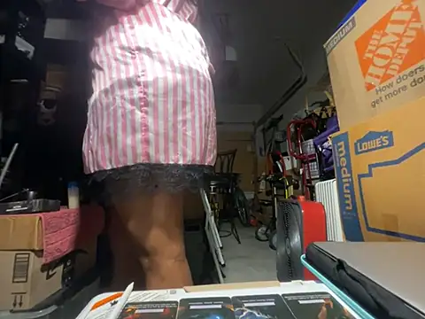 wynterheat webcam