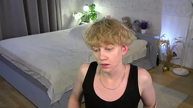 sky_dian webcam