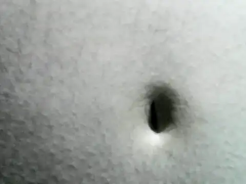 Tomtongggga webcam