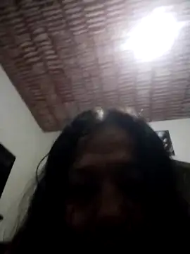 catdool webcam