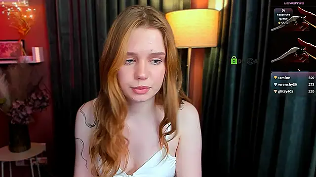 eva_drive webcam