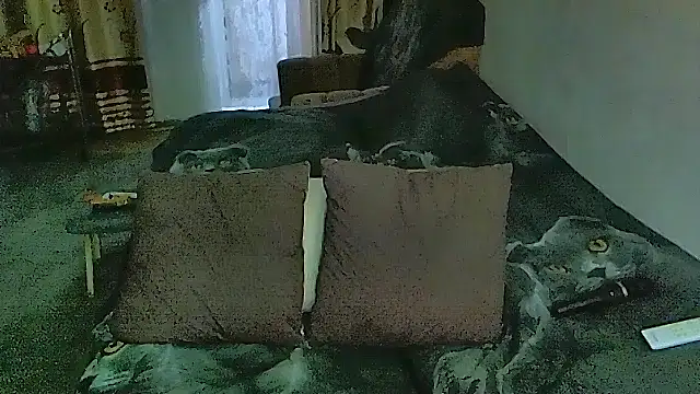 sex2 webcam