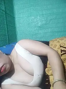 opna43 webcam