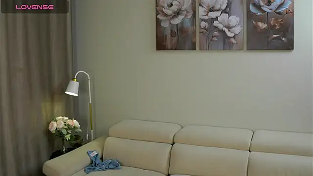 HermaFrain webcam