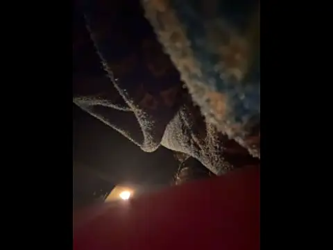 Teddy4420 webcam