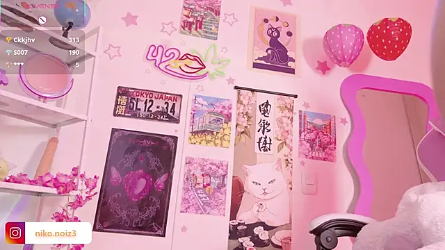 Noisy_doll webcam