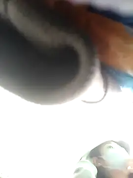 __Halen__ webcam