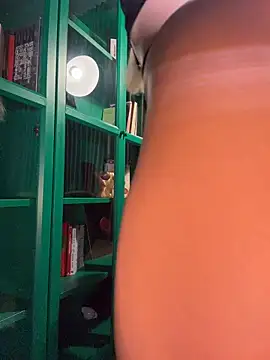 Ginevrafedez webcam