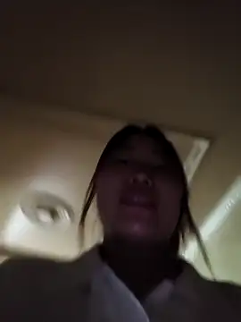 he-se-kin webcam