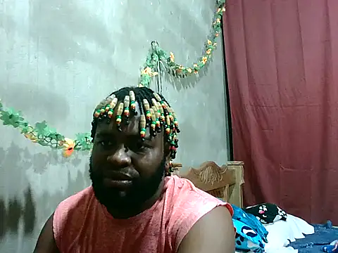2ocmaxi webcam