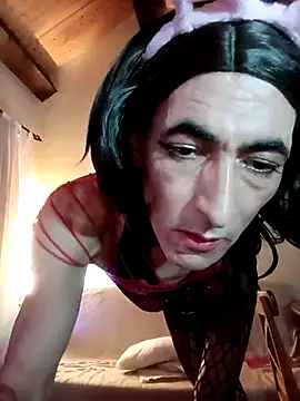 Caxorritavip webcam