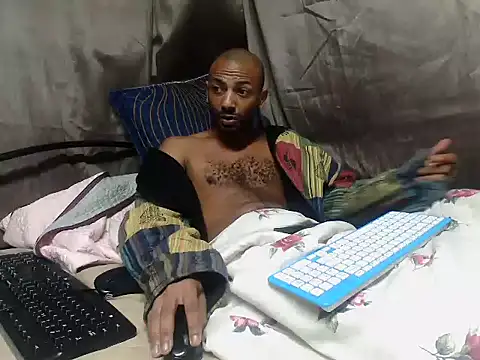 Camodick webcam