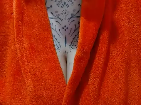vaholiver webcam