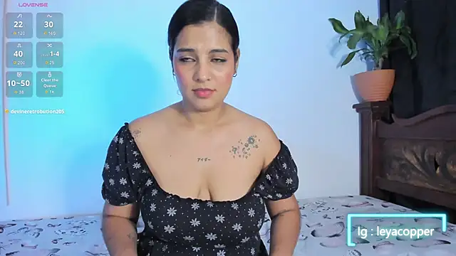 Leyacopper_ webcam