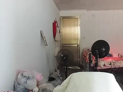 RebelAura webcam