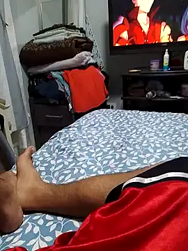 lokzisai webcam