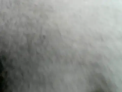 Tomtongggga webcam