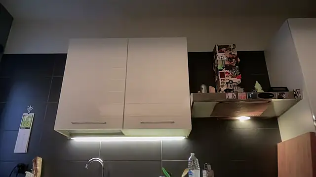 theitalianbear webcam