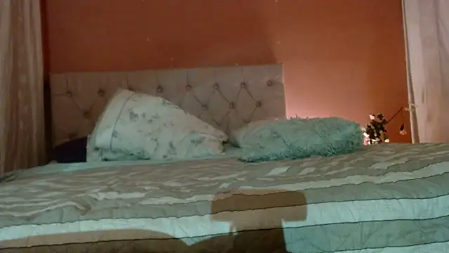 DAELAA webcam
