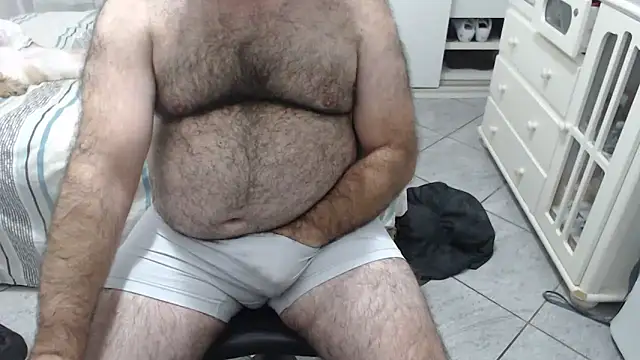 MysterBearMG webcam
