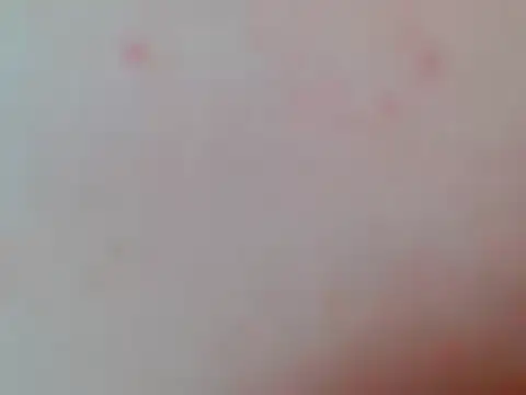 Hershey10 webcam