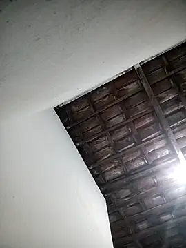 dandara1203 webcam
