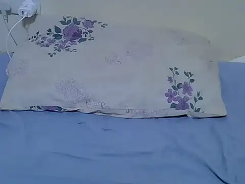 Twerl webcam