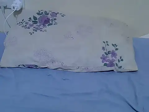 Twerl webcam