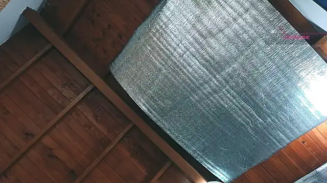 SilvaBranko webcam