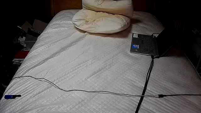 mms1316 webcam