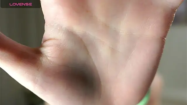 HermaFrain webcam