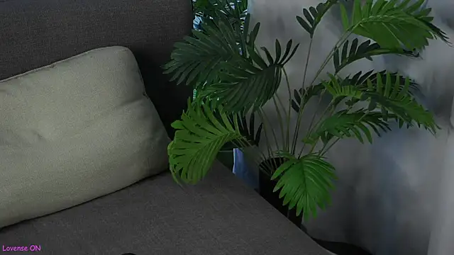 ClarineCasebolt webcam
