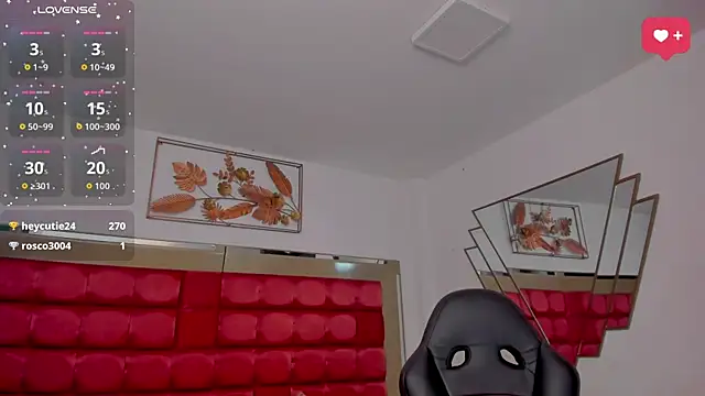 SaraWagner_ webcam