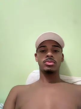 pretin19cm1 webcam