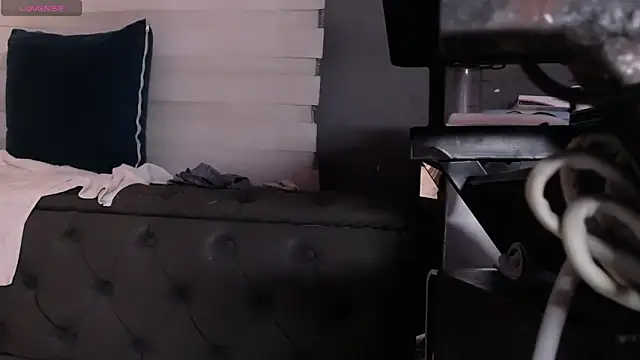 dirty_27cms webcam