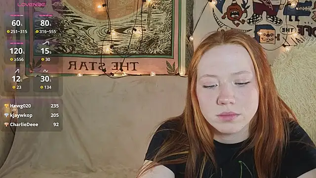 Sparky_fox webcam