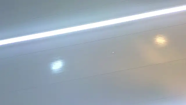 Sebastian_Vega webcam