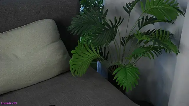 ClarineCasebolt webcam