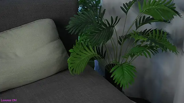 ClarineCasebolt webcam