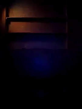 Cameron_puppy live sex cam