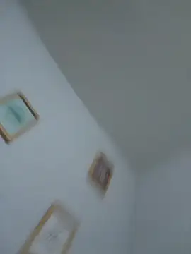 LoreinnFox webcam