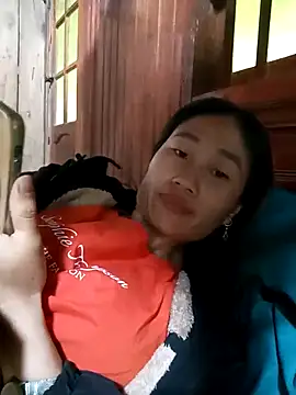 CML93 webcam