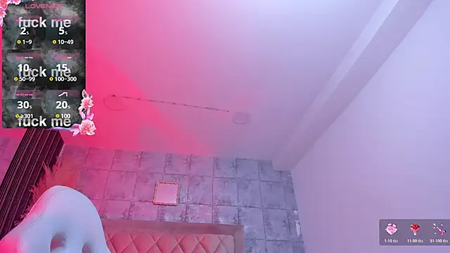 DrakoStone webcam