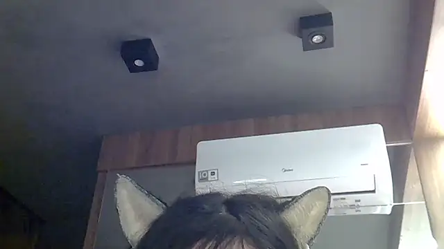 SkinnyKitten webcam