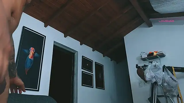 SilvaBranko webcam